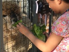 -意大利农场度假村