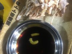 -顺德哥卜卜贝(旗舰店)