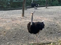 -杭州野生动物世界
