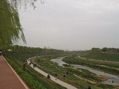 -洨河生态公园