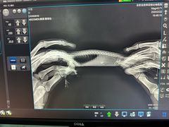 -北京观赏动物医院·24小时大型综合·猫专科·异宠专科