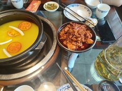 -志晖园圆子鸡·辣子鸡(阳光店)