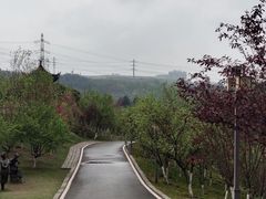 -重庆园博园