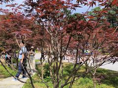 -广州市帽峰山景区