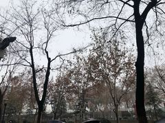 -建基泡馍·西安老字号·清真(永宁店)