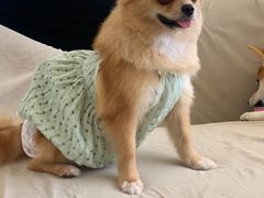 -怪兽屋·羊驼·猫咖·狗咖(俊华广场店)