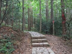 -四明山国家森林公园