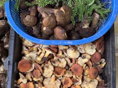 -双喜农庄·菌香园(安居家园店)