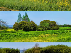 -良渚古城遗址公园