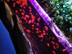 -梦幻海洋王国(吾悦广场张家港店)