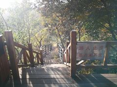 -大岭沟猕猴桃谷风景区