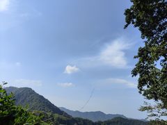 -龙井村