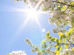 -宝钢特钢有限公司