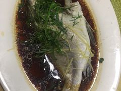 -哈味食店(外伶仃岛店)