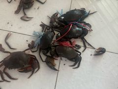 -芭提雅Amporn Seafood自助餐厅