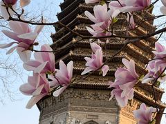 -玲珑塔公园