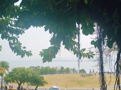 -深圳湾公园(南山区)