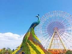 -七彩云南欢乐世界