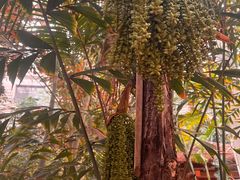 -龙达温泉生态城