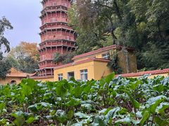 -宝通禅寺