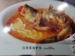 -绿野仙踪·印象(香樟名都店)