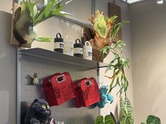 -Dogi&kiki Coffee(中心商务大厦店)