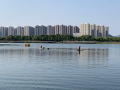 -洋湖国家湿地公园