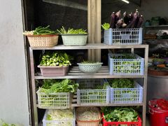 -邮电新村嘉积鸭美味园