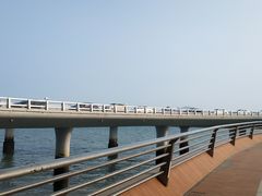 -演武大桥观景平台