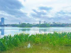 -南宁南湖公园
