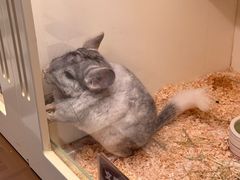 -龙猫仔乐园(惠福东路店)