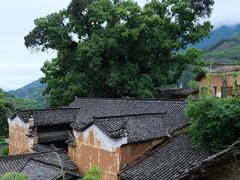 -杨家堂村