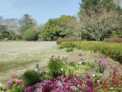 -中山公园