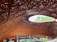 -东寨港红树林旅游区