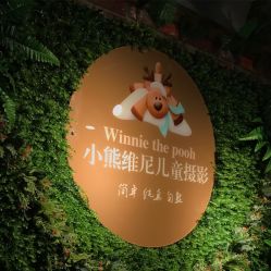 -小熊维尼高端儿童摄影(南山信和店)