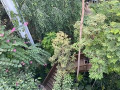 -郑州植物园