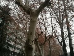 -陕西师范大学(雁塔校区)