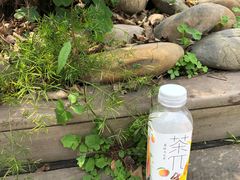 -重庆平顶山公园