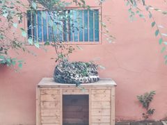 -青藏高原野生动物园