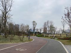 -府河摄影公园
