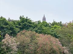 -顺峰山公园