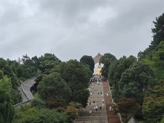 -庐山风景名胜区-东林大佛