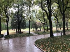 -宋庆龄陵园