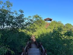 -大岭沟猕猴桃谷风景区