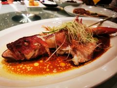 -三号黄浦会Canton Table