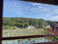 -曼丢傣家古寨