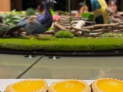 -麒麟中餐厅·经典粤菜·地道菜式老字号(广州长隆酒店)
