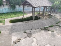 -无锡动物园·太湖欢乐园