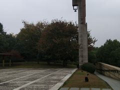 -美丽洲堂