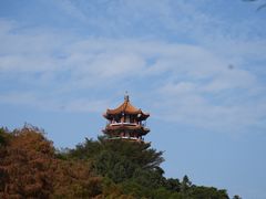 -深圳仙湖植物园